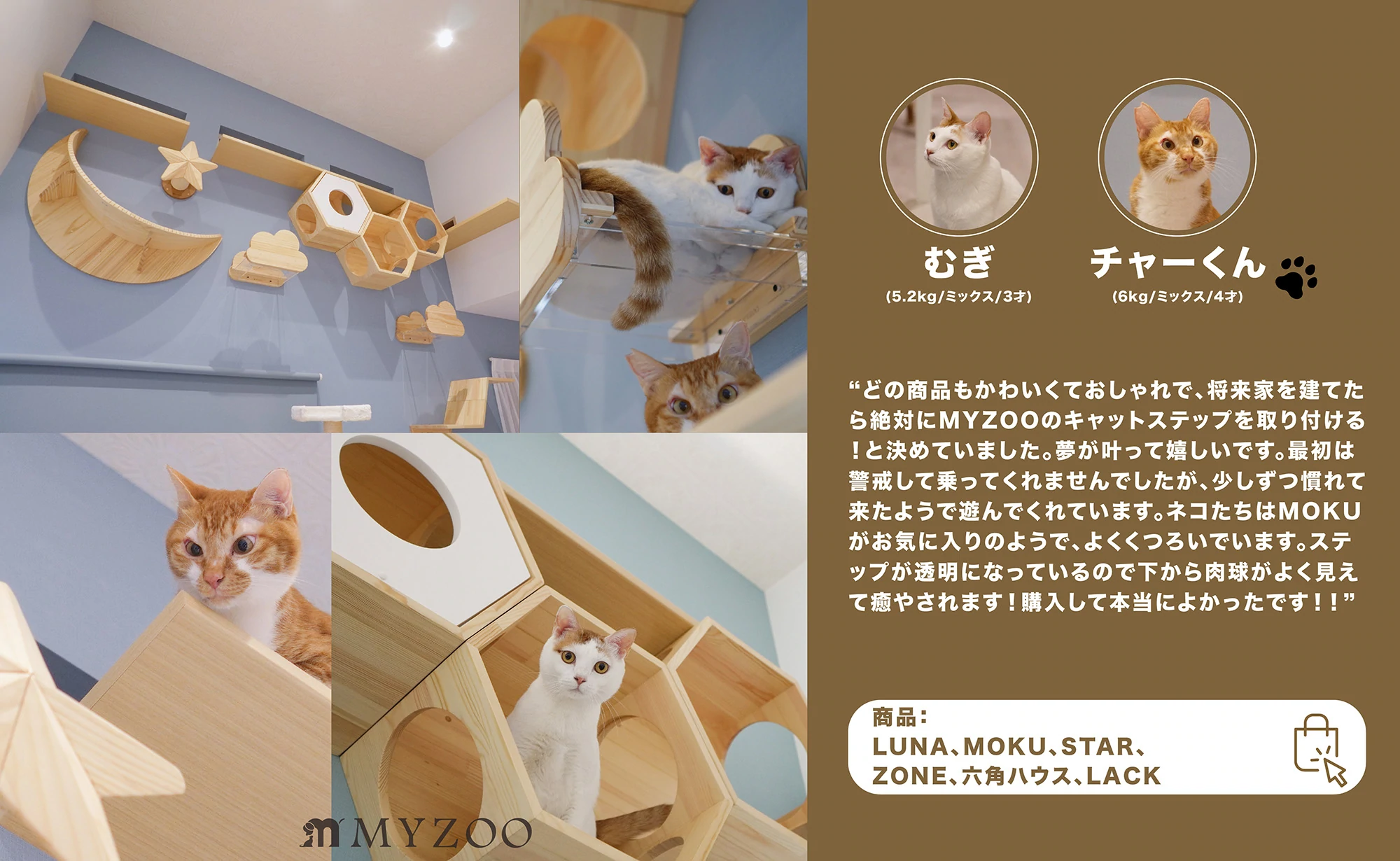MYZOO マイズー 六角ハウス 天然木 隠れ家 猫 キャットウォーク 壁