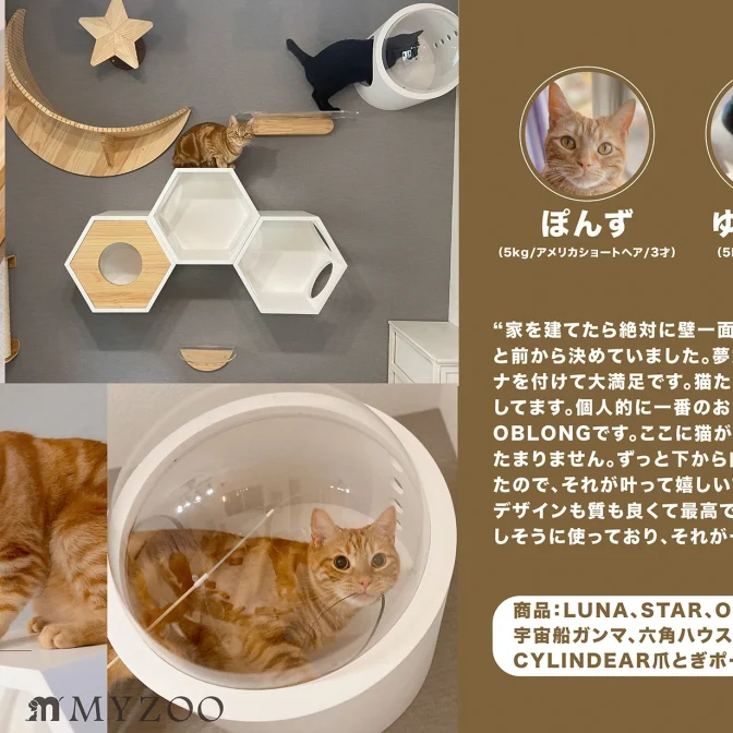 正規店または公式サイト 猫 キャットウォーク キャットステップ ベッド