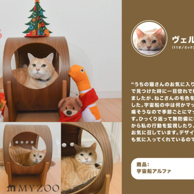 MYZOO マイズー 宇宙船ALPHA キャットハウス ねこハウス ネコハウス